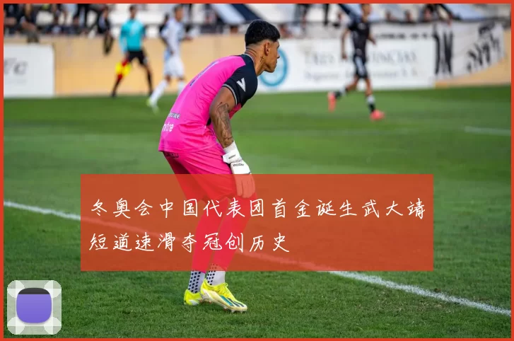 冬奥会中国代表团首金诞生武大靖短道速滑夺冠创历史