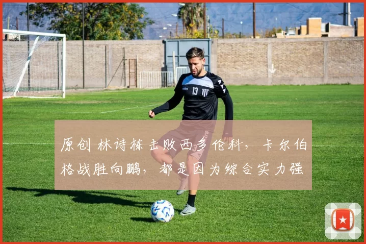 原创 林诗栋击败西多伦科，卡尔伯格战胜向鹏，都是因为综合实力强