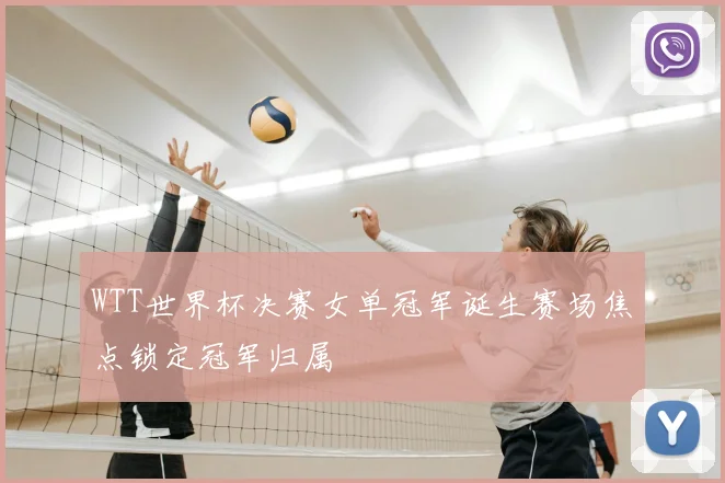 WTT世界杯决赛女单冠军诞生赛场焦点锁定冠军归属
